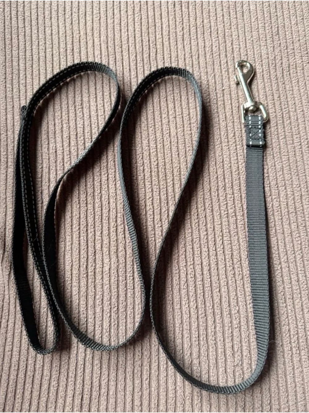 Classic Black Nylon Dog Leash with Metal Clip